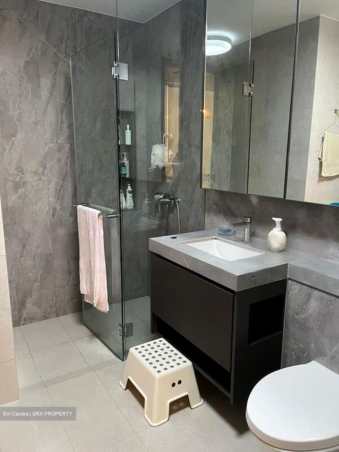 Parc Clematis (D5), Apartment #452751801